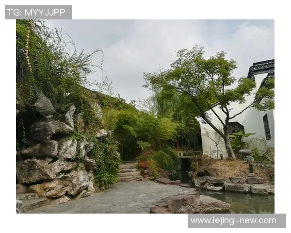 足球阵型演变的历史轨迹与战术创新探索之旅